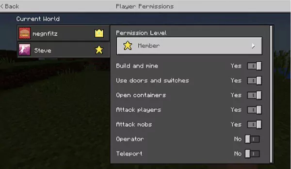 Player Permissions