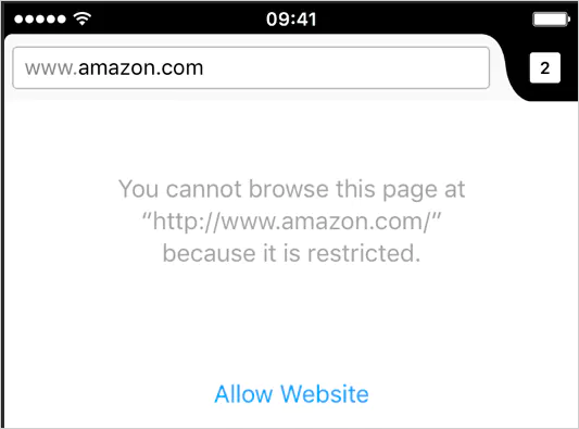 Restricted website error