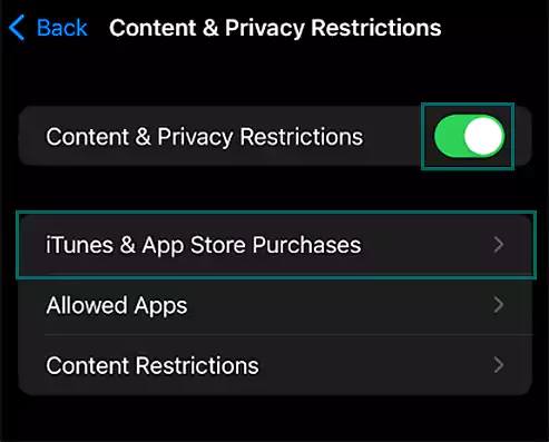 Tap iTunes & App Store Purchases