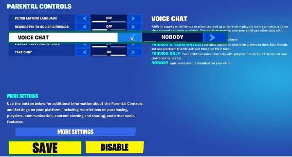 voice chat