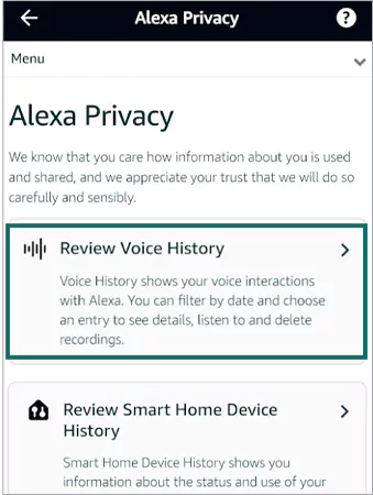 Tap on Review Voice History