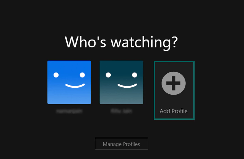 Add Profile Netflix