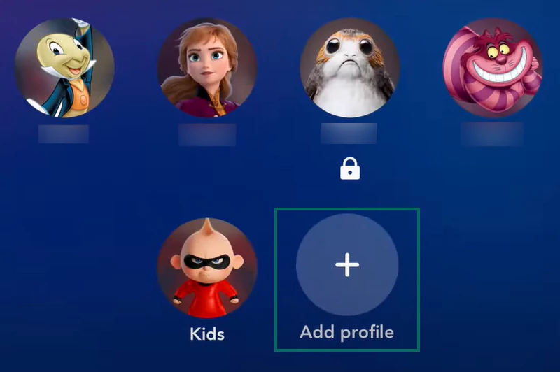 Add profile Disney Plus