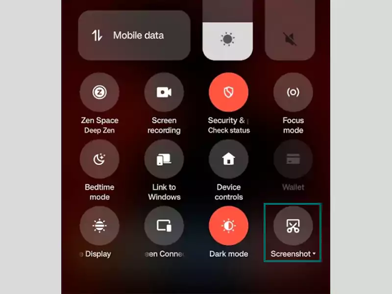 Screenshot button