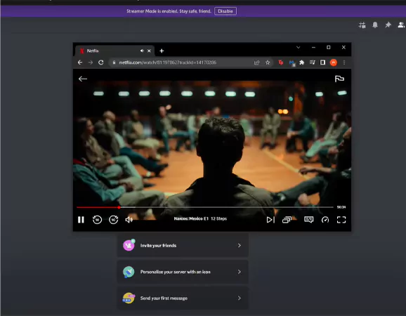 Netflix Streaming on Discord