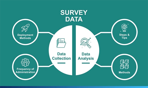 key elements of a survey