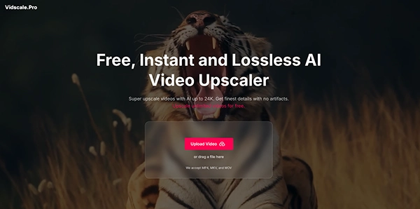  Vidscale.pro