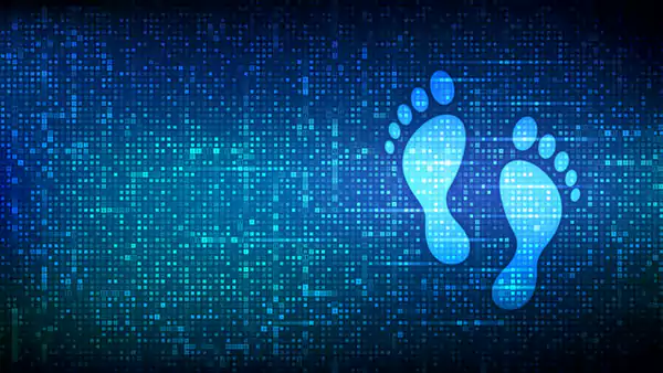 What is Digital Footprint