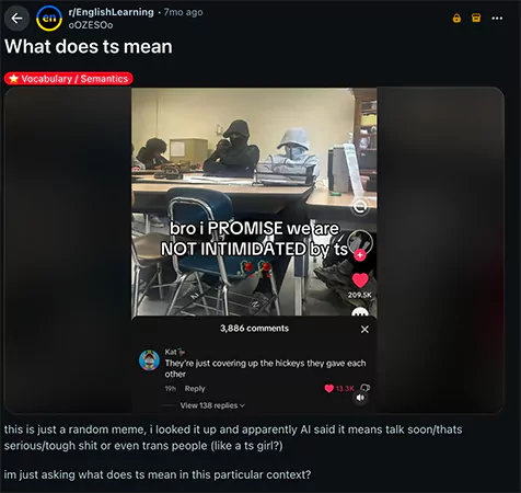 A reddit user asking what does TS mean