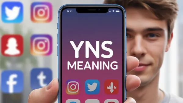 YNS meaning: What does YNS mean?