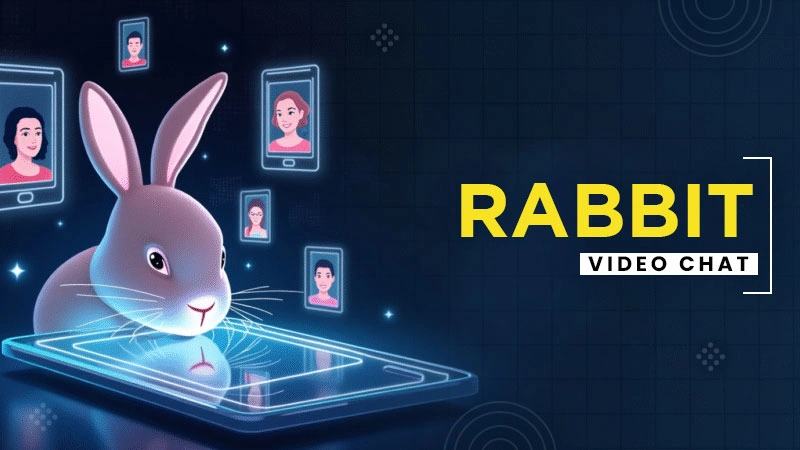 rabbit video chat