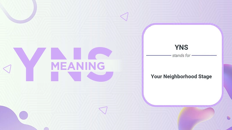 yns meaning
