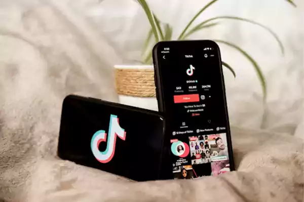 What does LMR mean on TikTok