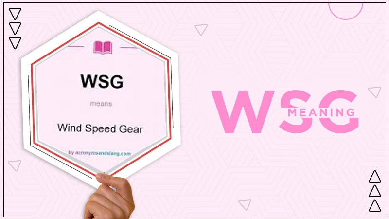 wsg meaning