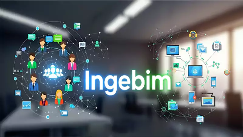 d-Ingebim