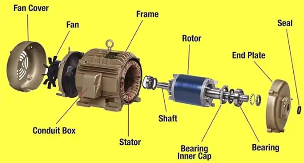 Cutaway view of a sealed thruster housing showing shaft seal and motor windings